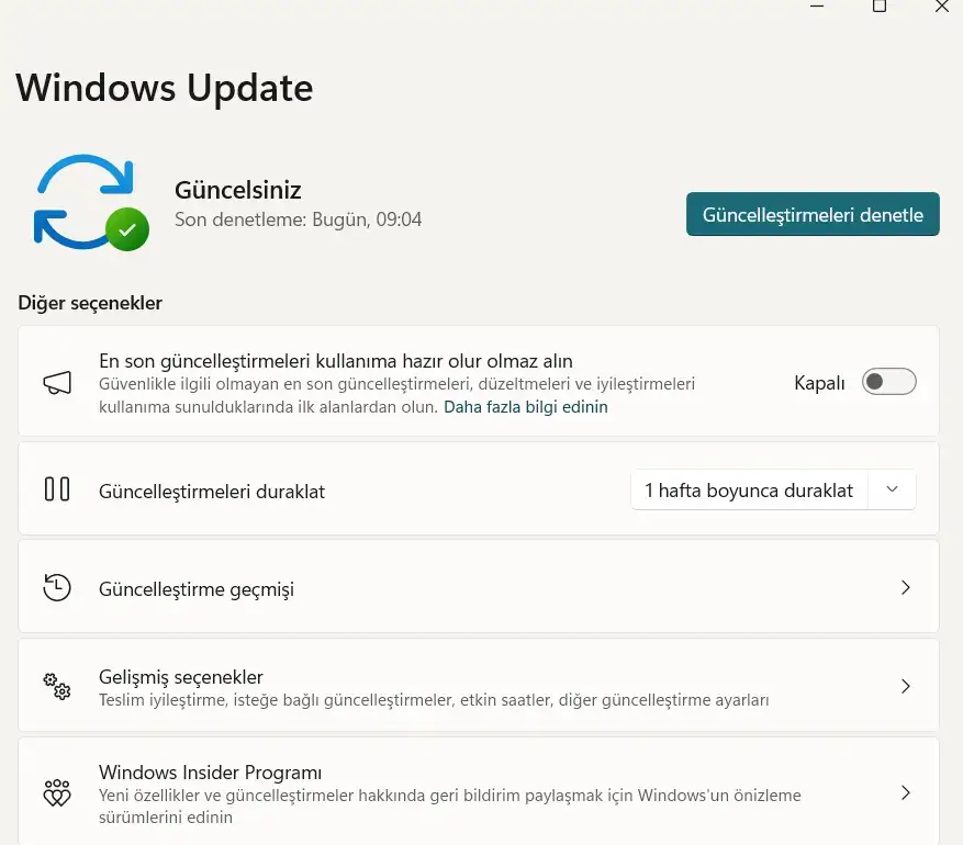Windows 11 güncellenmiyor